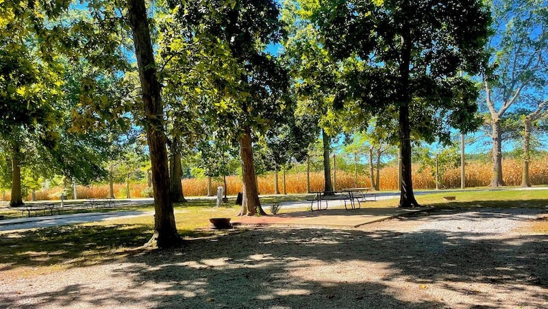 VIP Full Hook-Up Premium Site-3